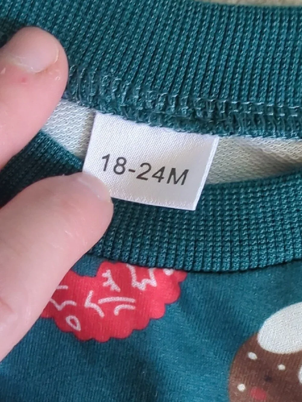 Christmas Graphic Sweatshirt Size 18-24 Months